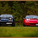 운전면허 취소, 이렇게 대처하세요!