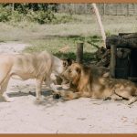 삼성 ETF, 지금이 시작할 타이밍!