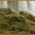 두피 고민 끝! 시원하게 날려버리는 두피스프레이 사용법