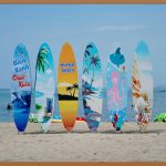 상어연골, 건강한 관절을 위한 놀라운 선택