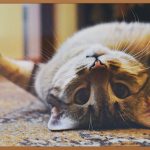 소형 박스, 포장 고민 끝! 완벽 가이드