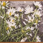 신체화장애, 마음의 고통을 이해하고 치유하는 방법