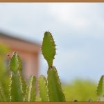 척추MRI, 허리 건강 지키는 가장 확실한 방법