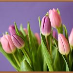 봄담아샤브샤브, 입 안 가득 봄을 담다!