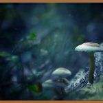 줄기세포 앰플, 피부 고민 끝! 꿀피부 되는 법