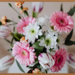 줄기세포, 궁금증 해결! (가격, 효과, 안전성)