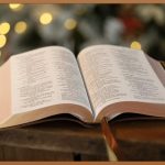 우리 아이 창의력 쑥쑥! 유아 스티커북 완전 정복