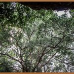 ☀️자외선 차단 끝판왕! 톤업 선에센스 완벽 분석