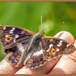 눈 시림 없이 피부를 지키는 완벽 가이드