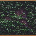 표면강화제로 완성하는 놀라운 변화: 지금 바로 시작하세요!