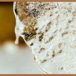 기소유예, 벌금 없는 해결책? 핵심 정보 완전 분석!