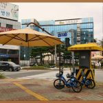 수원 사마귀, 이제 걱정 끝! 완벽 해결 가이드