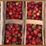 국고채 금리, 지금이 투자 적기일까?