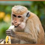 튠페이스, 리프팅 효과 제대로 볼 수 있을까? 솔직 후기