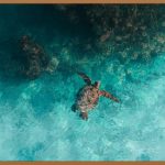 거북목, 이제는 안녕! 집에서 하는 맞춤 교정법