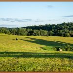 미국 변호사, 꿈을 현실로 만드는 로드맵