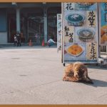 중고 키오스크, 똑똑한 선택? 모든 것을 알려드릴게요!