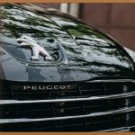 중고 모터, 현명한 선택을 위한 모든 것