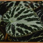 부산 하지정맥, 더 이상 망설이지 마세요!