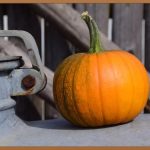 야채스무디, 건강과 맛을 한 번에 잡는 비법