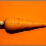 채식주의, 건강한 삶의 시작