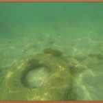 장판, 버리는 법? 꼼꼼하게 알려드릴게요!