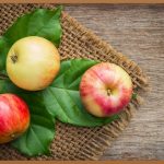 쫀득한 식감! 맛있게 챙기는 비타민D젤리