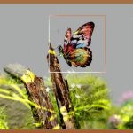 음성인식AI, 무료로 시작하는 AI 세상