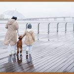 보행안전도우미, 안전한 당신의 발걸음을 위해