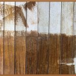 튼튼하고 예쁜 우리집, 벽체판넬로 완성!