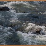 물톡스, 꿀피부로 가는 마법의 주문?