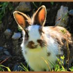 귀 먹먹함, 원인과 해결 방법 완벽 정리