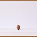 종신보험, 연금 전환으로 노후 걱정 끝?